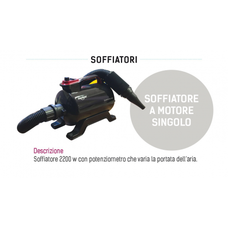 SOFFIATORE MOTORE SINGOLO 1800 W