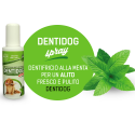 DENTIFRICIO SPRAY 100ML