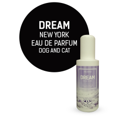 PROFUMO DREAM 100 ML