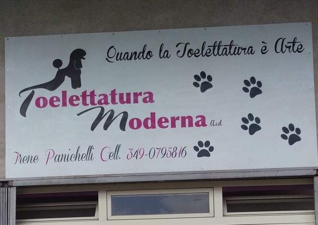 Toelettarura Moderna