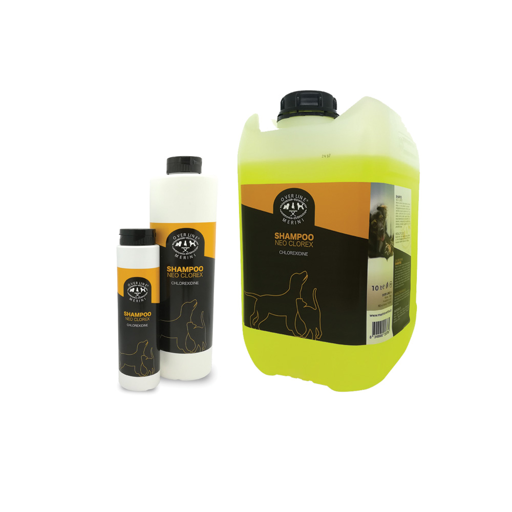 Shampoo Neo