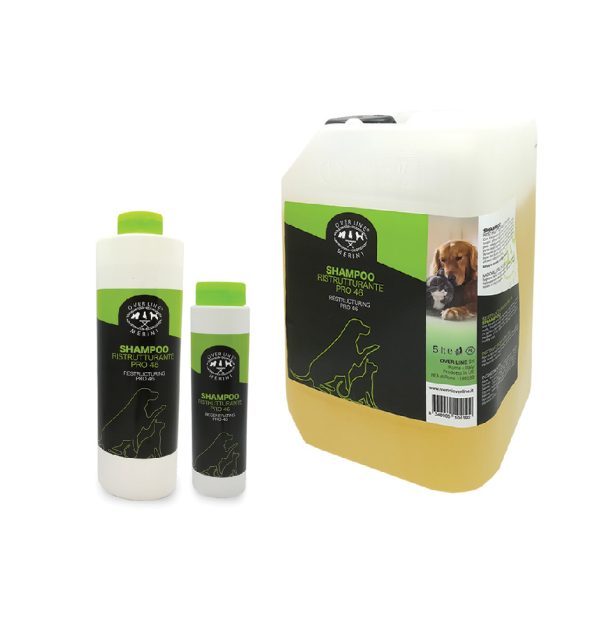 Shampoo Ristrutturante Pro Active 46