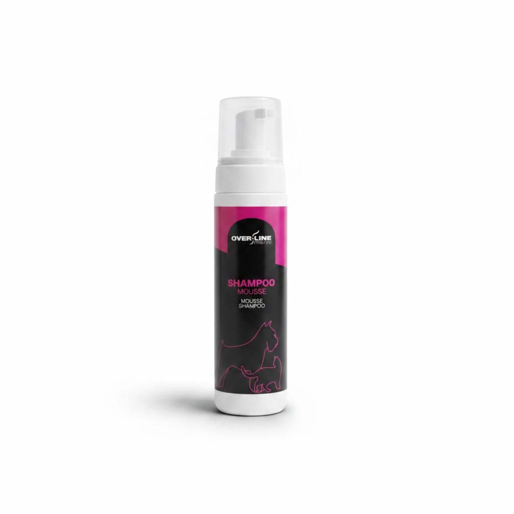 Shampoo Secco Mousse 1 Shampoo Secco Mousse 1