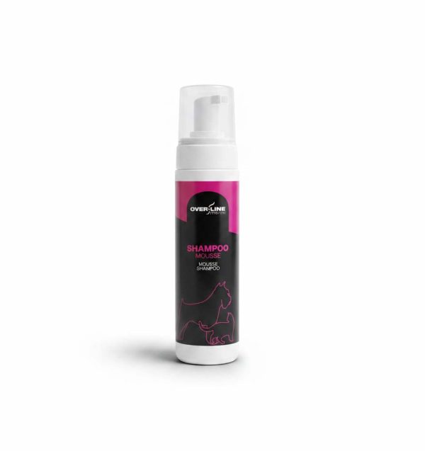 Shampoo Secco Mousse 1