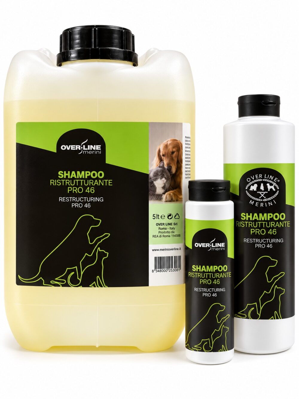 Shampoo Ristrutturante Pro Active 46 1 WhatsApp Image 2026 09 15 at 14.50.13